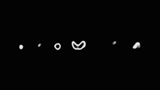 FXT008_SMOOTHIE_FXT-GIF