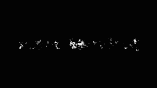 FXT034_CONTOURS_BRUTS_1_FXT-GIF