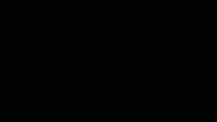 FXT038_BRUIT_FRACTAL_2_FXT-GIF
